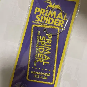 RAMPAGE PRIMAL SPIDER 회장 한정판 키링 가나가와