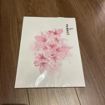 타키자와 가부키 ZERO FINAL 팜플렛 미개봉품 새상품