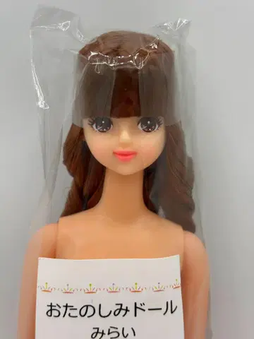 오타즈미 인형 미라이 다크 브라운 계열 롤 리카짱 캐슬 리틀 팩토리