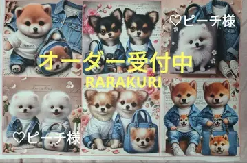포메라니안, 시바견, 치와와, 패널 오더 접수 중 핸드메이드
