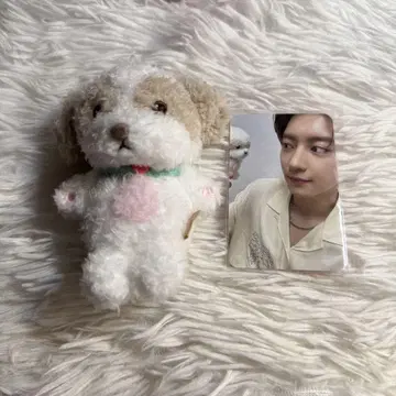 찬열 봉제 인형