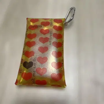 hide 케이스