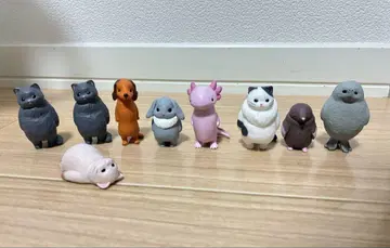 무. 가챠