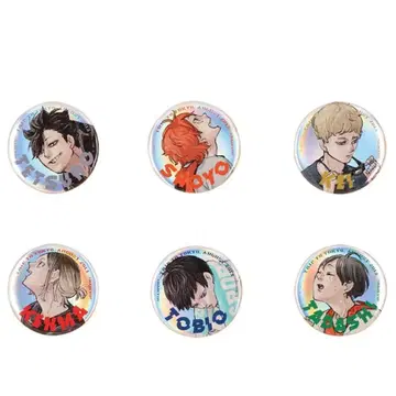 하이큐! 도쿄 원정 2013 여름 메탈릭 캔뱃지 6종 세트