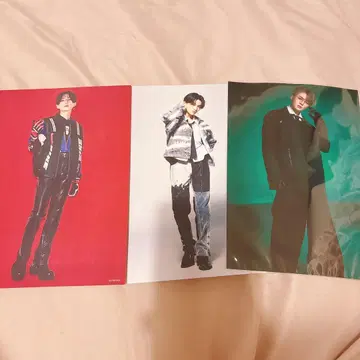 야기 유세이 타워 레코드 플라이어 3장 세트