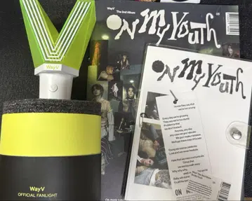 wayv 웨이션 응원봉 파슬리 둔기