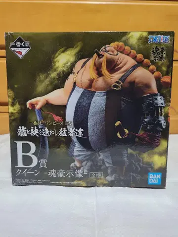 원피스 제일복권 혼고 시조 퀸