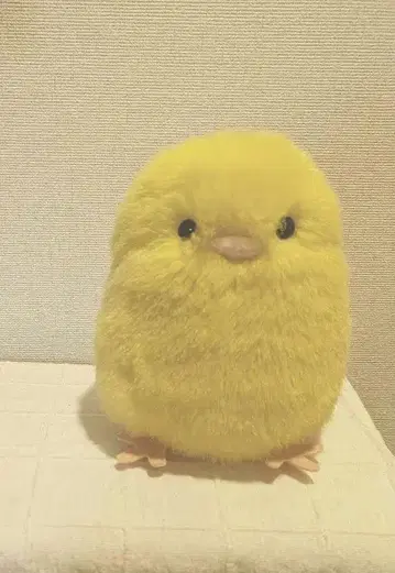 병아리 봉제 인형