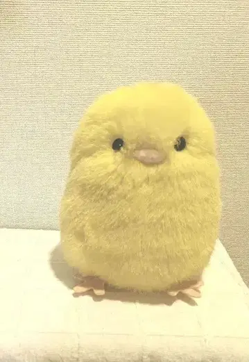 병아리 봉제 인형
