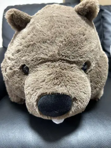 쭈글쭈글 원피 원뱃 봉제 인형