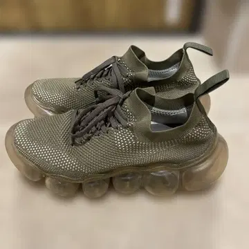 지상 보석 이끼/이끼 26cm