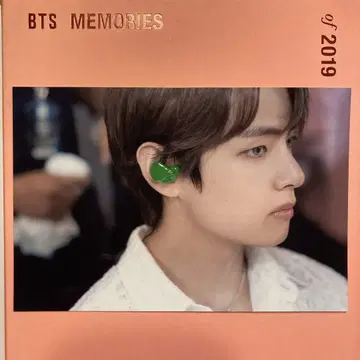BTS Memories 2019 부속물 사진 V 태테 김태현