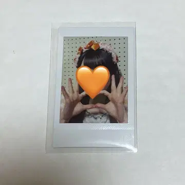 벚꽃 히나리 도호쿠산 폴라로이드