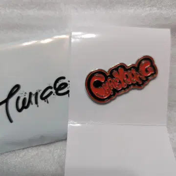 TWICE 랜덤 핑 배치 [채영]