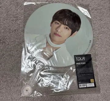 BTS 부채 태현
