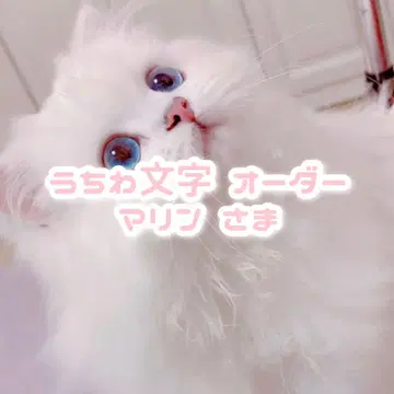 마린 님 부채 문자 오더