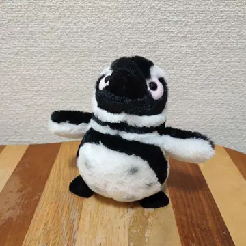 고베 스마 씨월드 마젤란 펭귄 봉제 인형 수족관
