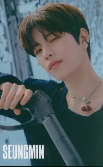 스트레이키즈 타워레코드 승민 MAXIDENT