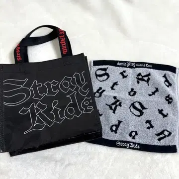 straykids dominATE JAPAN 업그레이드 혜택