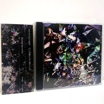 Dyeing my cavity Yamaji 치로 P 보컬로이드 동인 CD