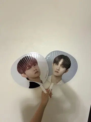 타지마 쇼고 부채 과거 물건