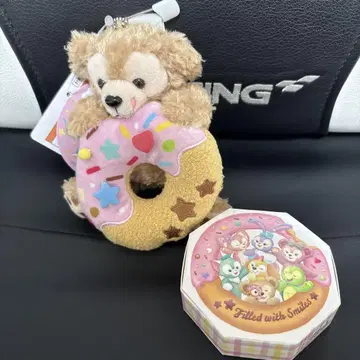 닷피 헤어 클립 세트