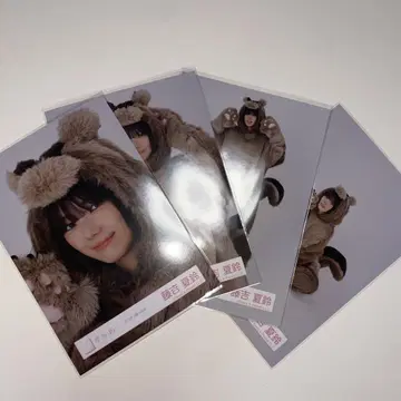 사쿠라자카46 브로마이드 후지요시 카린 동물 인형옷 컴프