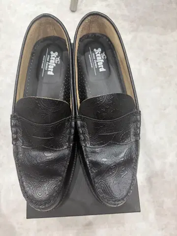 켄포드 로퍼 페이즐리