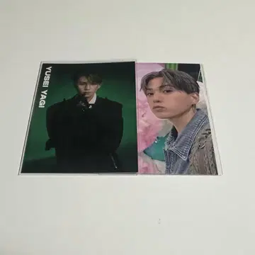 야기 유세이 트레이딩 카드