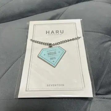 세븐틴 호시 키링