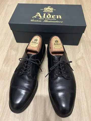 Alden 971 8.5D 스트레이트 팁 & Alden 슈트리