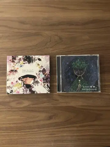 ZONE THE DARKNESS 앨범 2장 세트