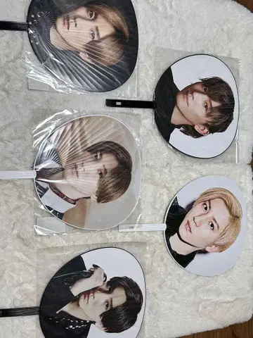 SixTONES 교모토 타이가 부채 5개 세트
