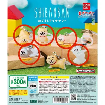 5종 세트 SHIBANBAN 메지루시 액세서리 시반반