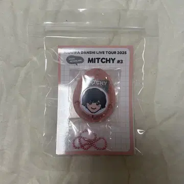 미치에다 슌스케 보이스 키링