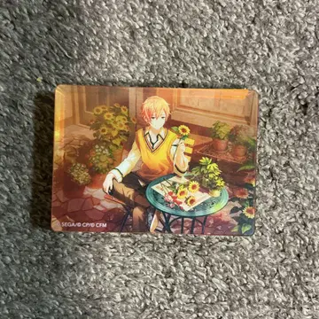 프로세카 노블 아트 컬렉션 vol.44 아키토 시노노메 비바스