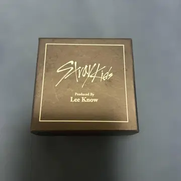 straykids Leeknow 반지