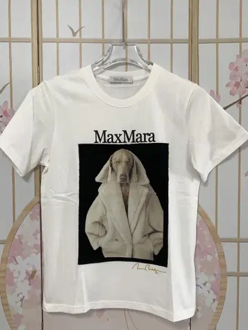 MAX MARA 퓨어 코튼 티셔츠 S