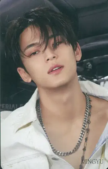 세븐틴 HMV MINGYU FACE THE SUN CARAT