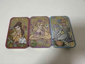 디즈니 프린세스 캔 케이스