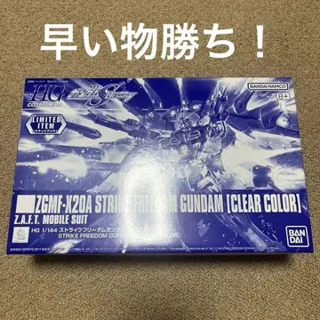hg 스트라이크 프리덤 건담 클리어 컬러 새상품