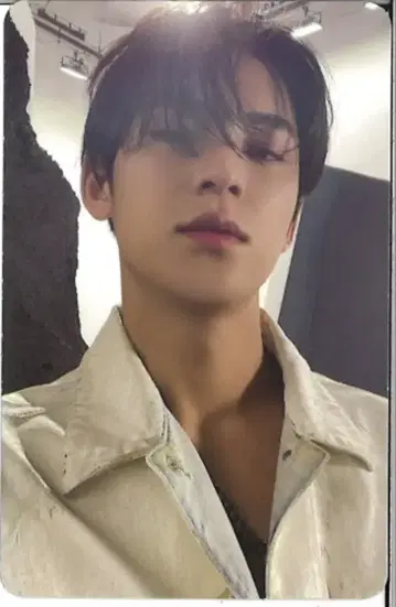 SEVENTEEN FACE THE SUN MINGYU 트레이딩 카드