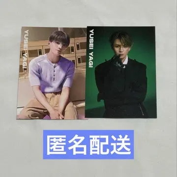 야기 유세이 트레이딩 카드