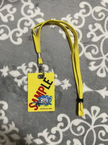 SMAP SAMPLE TOUR 2005 라미네이티드 패스