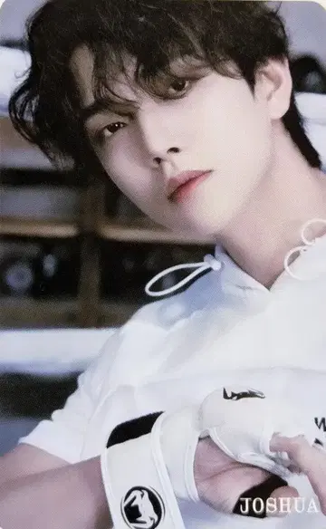세븐틴 HMV/Loppi JOSHUA FML CARAT