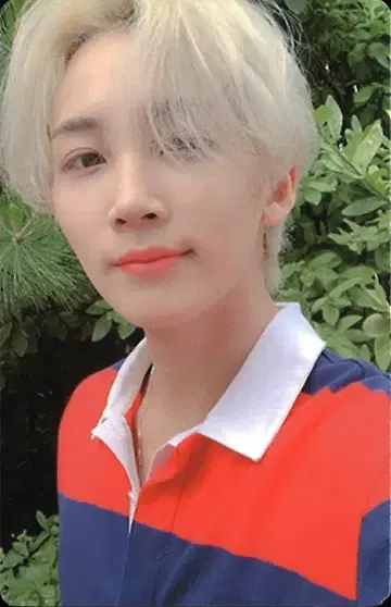 세븐틴 The Poet JEONGHAN An Ode 브라운