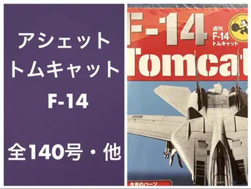 아셰트 톰캣 F-14 주간지