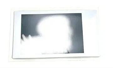 무지개 깃털 폴라로이드 ilife 수국