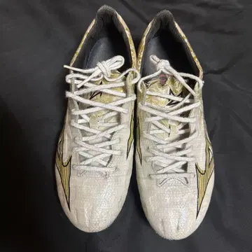 미즈노 알파 Japan 25cm