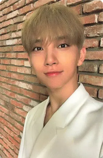 SEVENTEEN Begin JOSHUA An Ode 파랑
